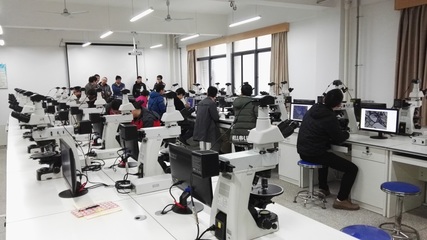 地球科学学院成功举办显微镜互动教学系统培训，提升教学服务能力